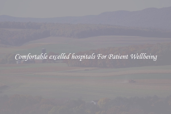 Comfortable excelled hospitals For Patient Wellbeing