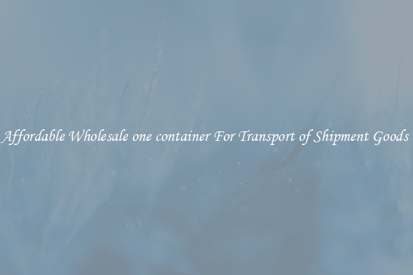 Affordable Wholesale one container For Transport of Shipment Goods 