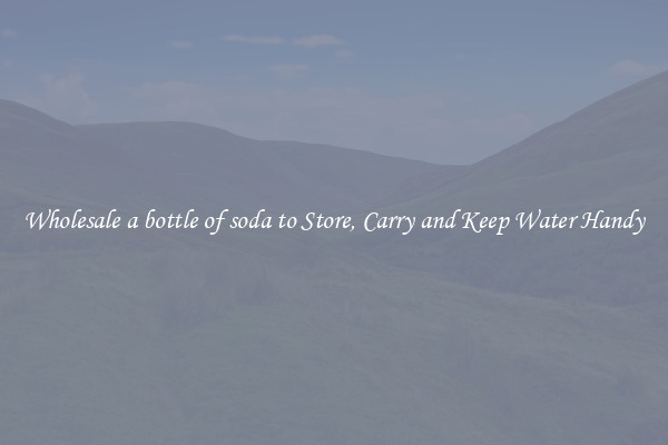 Wholesale a bottle of soda to Store, Carry and Keep Water Handy