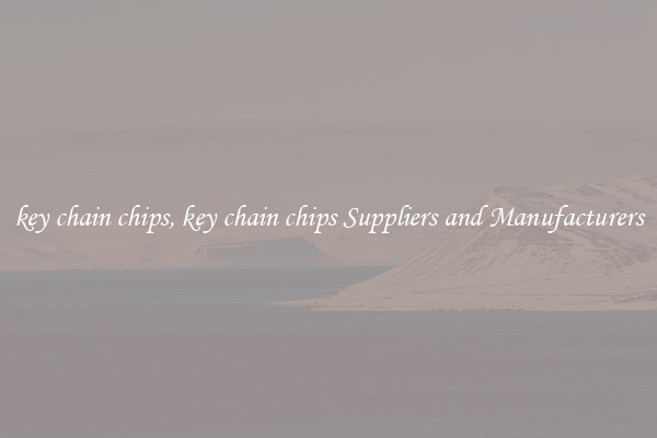 key chain chips, key chain chips Suppliers and Manufacturers
