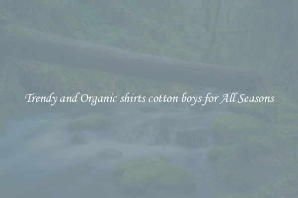 Trendy and Organic shirts cotton boys for All Seasons
