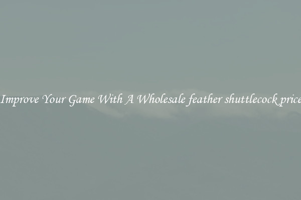 Improve Your Game With A Wholesale feather shuttlecock price
