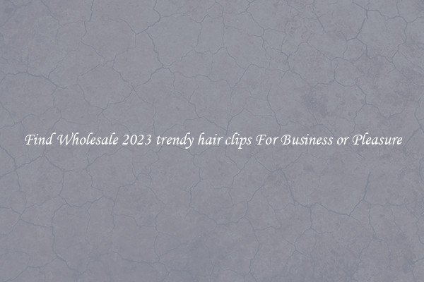 Find Wholesale 2023 trendy hair clips For Business or Pleasure