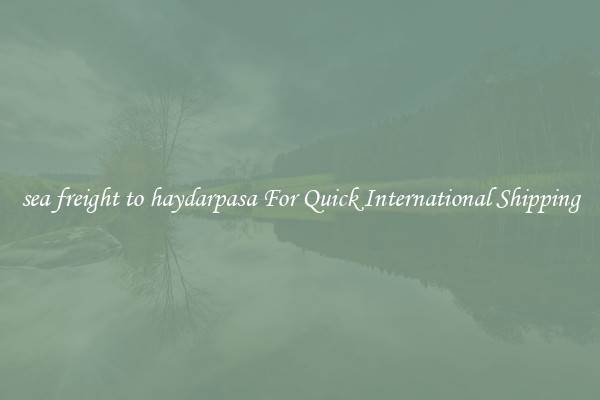 sea freight to haydarpasa For Quick International Shipping