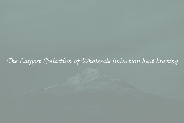 The Largest Collection of Wholesale induction heat brazing