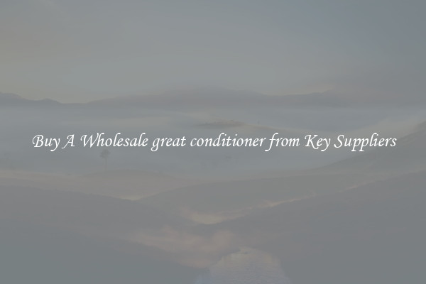 Buy A Wholesale great conditioner from Key Suppliers