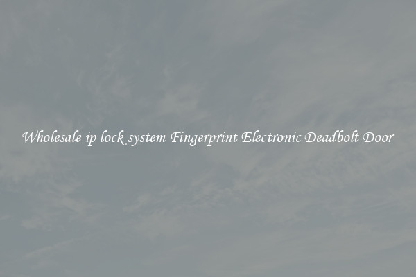 Wholesale ip lock system Fingerprint Electronic Deadbolt Door 