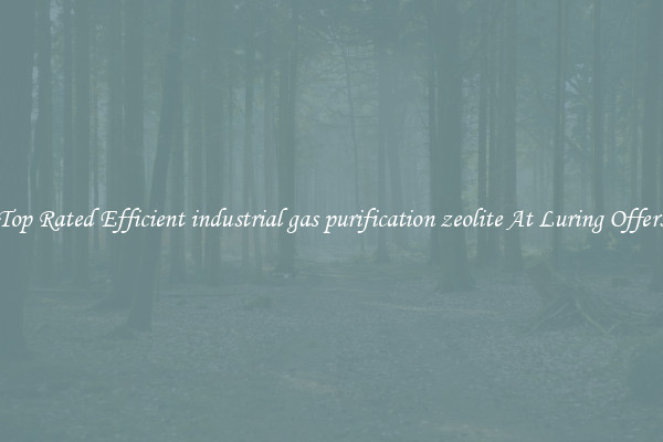 Top Rated Efficient industrial gas purification zeolite At Luring Offers