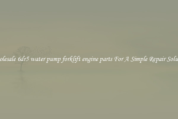 Wholesale 6dr5 water pump forklift engine parts For A Simple Repair Solution