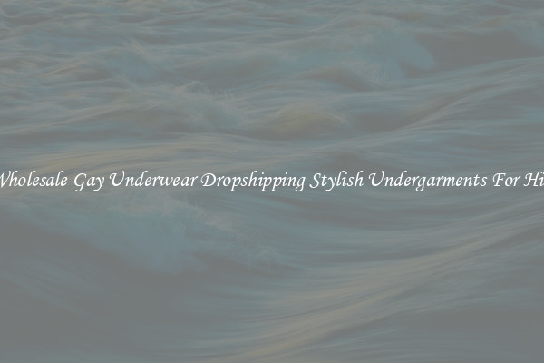 Wholesale Gay Underwear Dropshipping Stylish Undergarments For Him