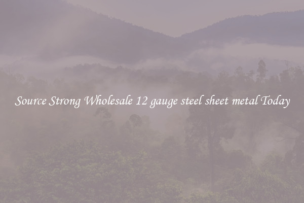 Source Strong Wholesale 12 gauge steel sheet metal Today
