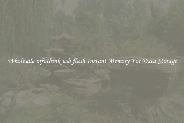 Wholesale infothink usb flash Instant Memory For Data Storage