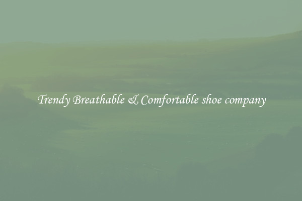 Trendy Breathable & Comfortable shoe company