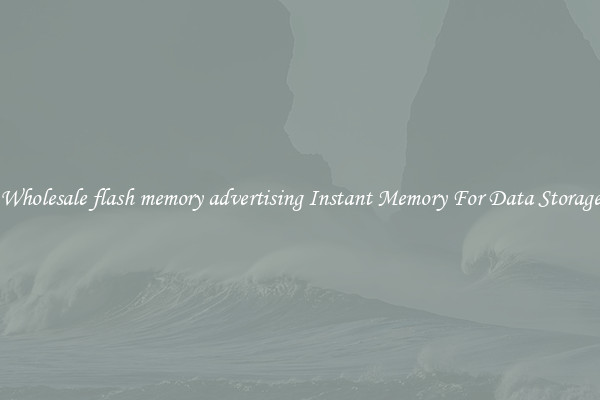 Wholesale flash memory advertising Instant Memory For Data Storage