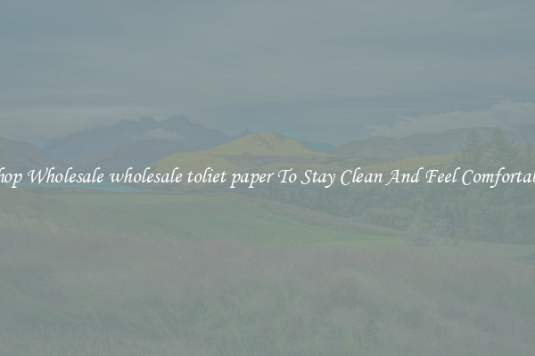 Shop Wholesale wholesale toliet paper To Stay Clean And Feel Comfortable