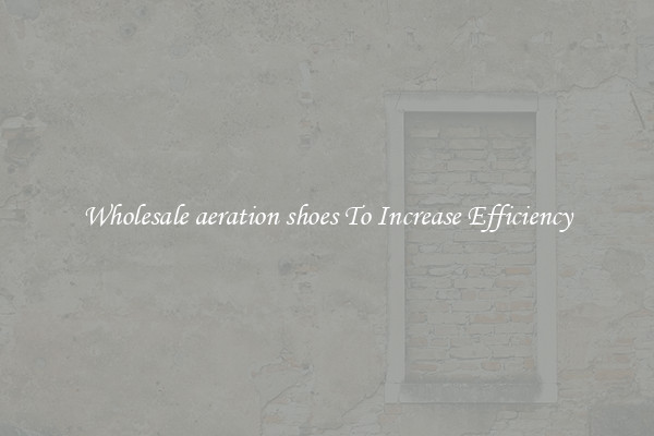Wholesale aeration shoes To Increase Efficiency