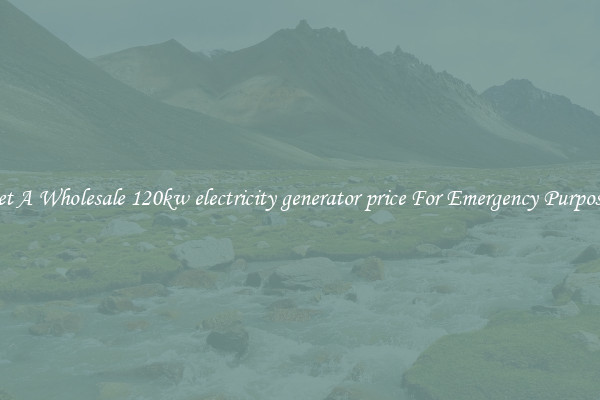 Get A Wholesale 120kw electricity generator price For Emergency Purposes
